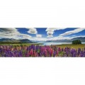 Heye Lake Tekapo