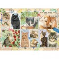 Jumbo Cat Stamps