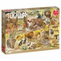 Jumbo Rien Poortvliet - Building Noah's Ark