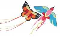 Kinderdrachen, Grösse 130 x 160 / 88 x 58 cm Parrot und Butterfly