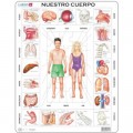 Larsen Rahmenpuzzle - Nuestro Cuerpo (auf Spanisch)