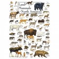 Master Pieces Land Mammals of North America