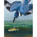 New York Puzzle Company Belted Kingfisher Mini