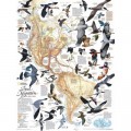 New York Puzzle Company Bird Migration