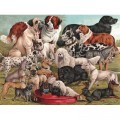 New York Puzzle Company Dog Breeds