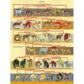 New York Puzzle Company XXL Teile - Feline Family Tree