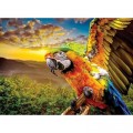 Nova Puzzle American Parrot