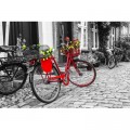 Nova Puzzle Das rote Fahrrad