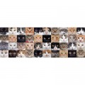 Nova Puzzle Katzen-Collage