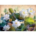 Nova Puzzle White Lotus Flowers