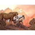 Nova Puzzle Wild Horses