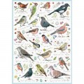 Otter House Puzzle Birdsong