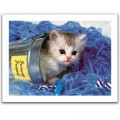 Pintoo Puzzle aus Kunststoff - Kitten