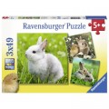Ravensburger 3 Puzzles - Niedliche Hschen