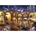 Ravensburger Exit Puzzle Kids - At the Natural History Museum