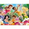 Ravensburger Fairies: Meine Fairies