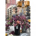 Ravensburger Relax - Flowers in New York
