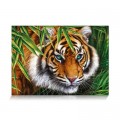 Star Puzzle Tiger Look