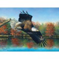 SunsOut Abraham Hunter - Wetlands Eagle