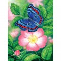 SunsOut Blue Butterfly
