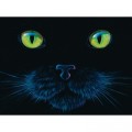 SunsOut Charles Lynn Bragg - Black Cat
