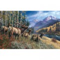 SunsOut James Meger - Elk Anthem