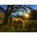 SunsOut Karla Mann - Pastoral Sunset