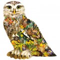 SunsOut Lori Schory - Forest Messenger