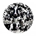 SunsOut Lori Schory - Herd of Cows