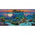 SunsOut Wil Cormier - Coral Reef Island