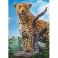 Trefl Leopard