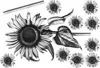 Wandaufkleber Wallies Großes Gemälde(BigMural XL) Sonnenblume