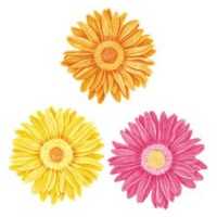 Wandaufkleber Wallies Motiv-Sticker (Cutouts) Gerber Daisies