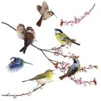 Window-Sticker Birds