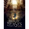 Wrebbit 3D Poster Puzzle - Fantastic Beasts - Macusa